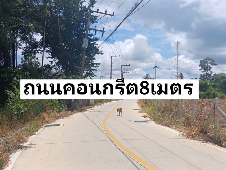 picture Land for sale in Soi Wat Yan, just 3 km from Jomtien Beach. - 2/7