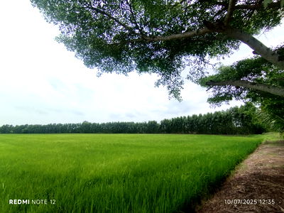 Land for sale Bang Khla Chachoengsao : 🌊Premium riverside land in BangPakong, 30+rai, ONLY1plot, BangKhla, next to the main road+river, beautiful view, potential for various developments