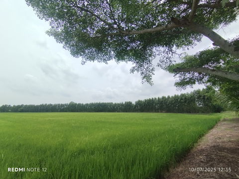 🌊Premium riverside land in BangPakong, 30+rai, ONLY1plot, BangKhla, next to the main road+river, beautiful view, potential for various developments