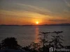 listing thumbnail image 23