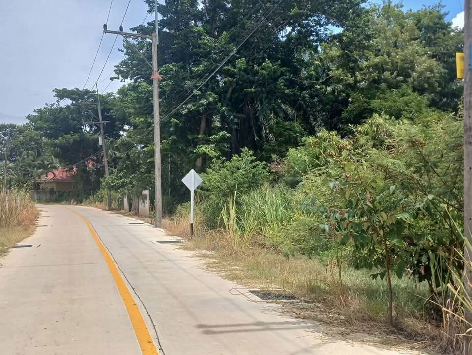 picture Land for sale in Soi Wat Yan, just 3 km from Jomtien Beach. - 7/7