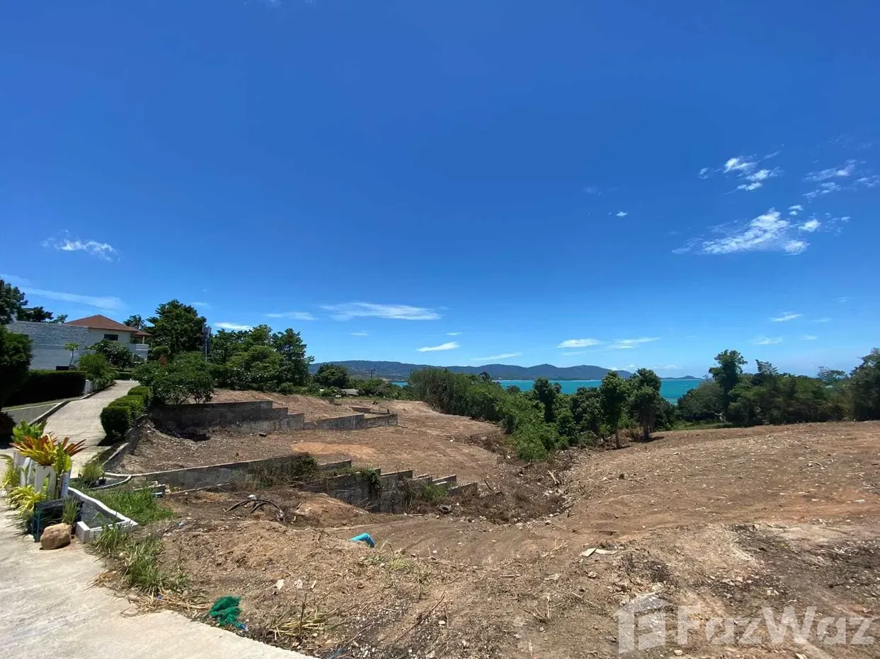 picture Land for sale in Bo Phut, Surat Thani - 10/11