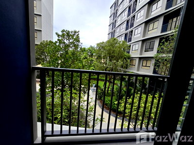 คอนโดให้เช่า : คอนโดให้เช่า 1 ห้องนอน ในโครงการ ดีคอนโด รีฟ ภูเก็ต 5361522