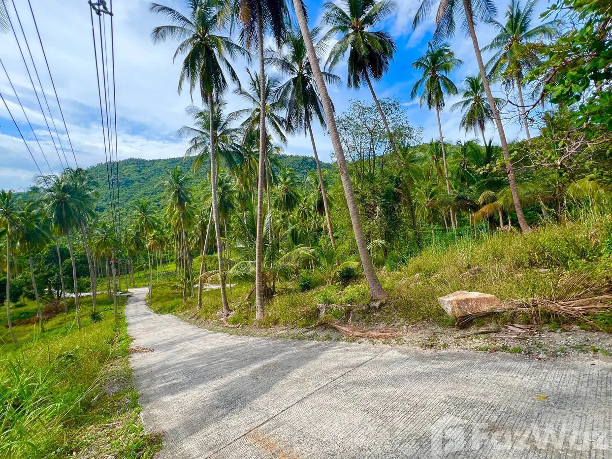 picture Land for sale in Taling Ngam, Surat Thani - 16/18