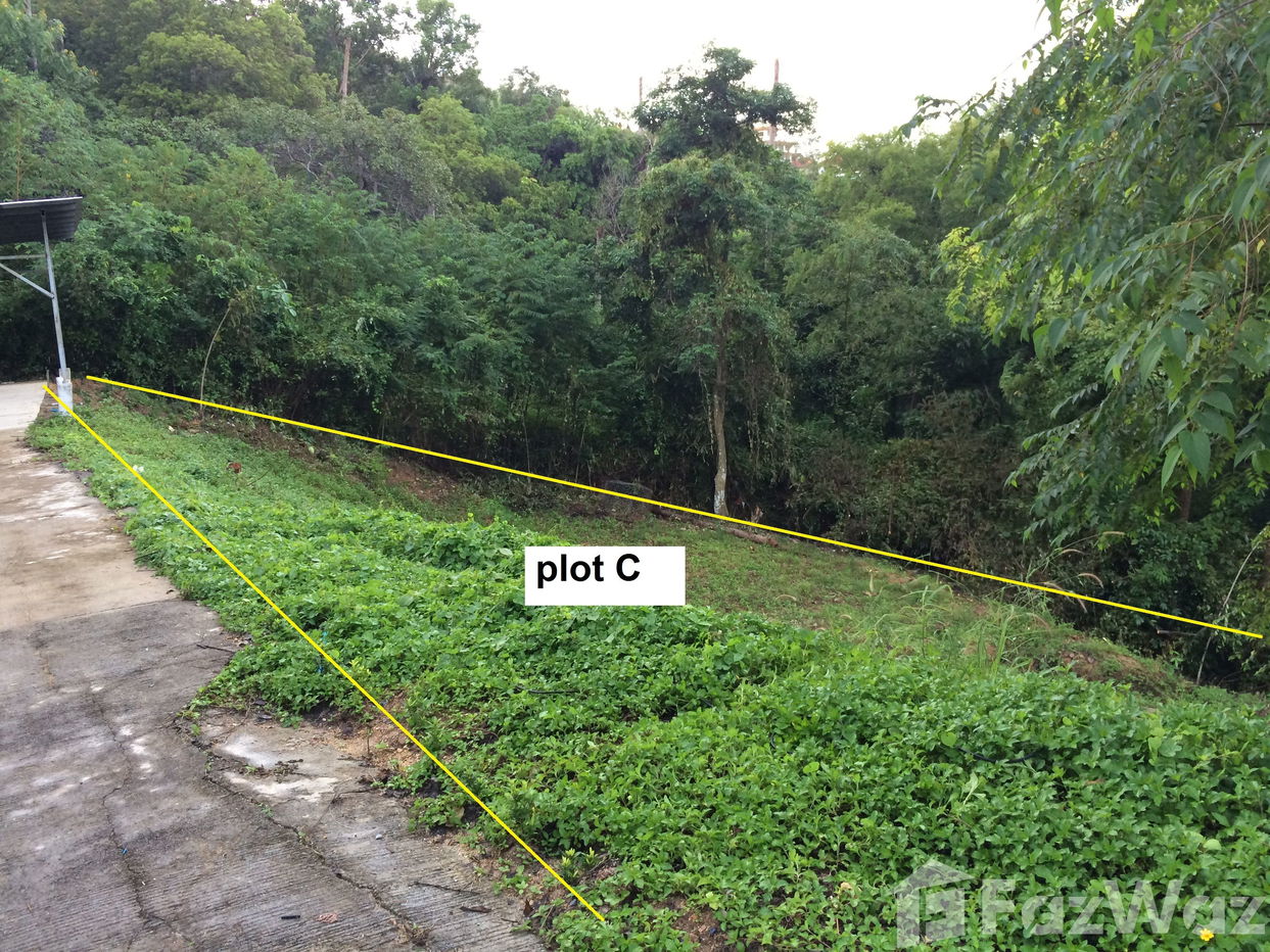 รูป ขาย ที่ดิน ใน แม่น้ำ, สุราษฎร์ธานี - รูปที่ 6/10