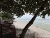 listing thumbnail image 27