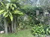 listing thumbnail image 26