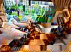 listing thumbnail image 16
