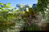 listing thumbnail image 39