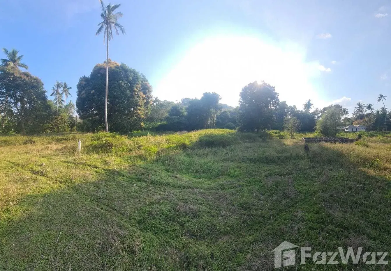 picture Land for sale in Taling Ngam, Surat Thani - 3/15