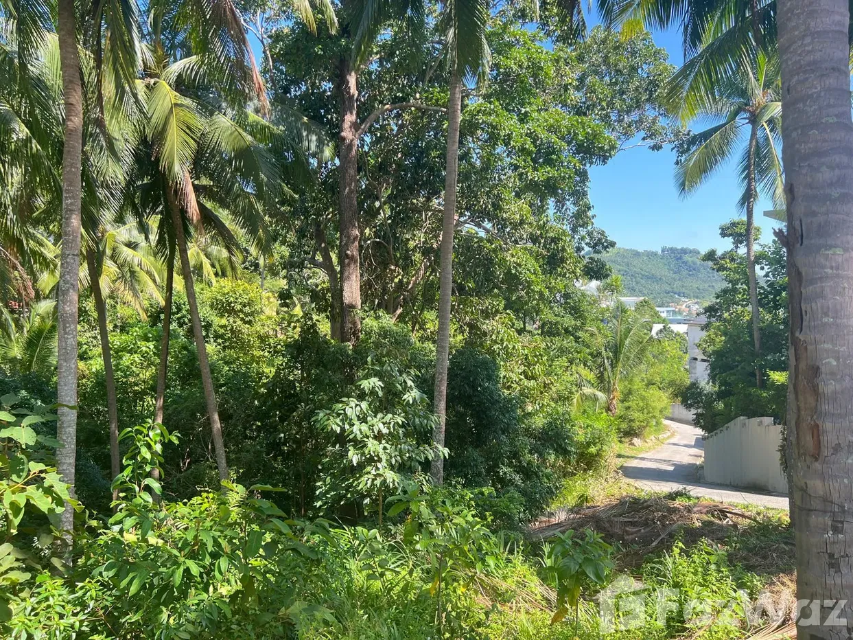 picture Land for sale in Bo Phut, Surat Thani - 7/12