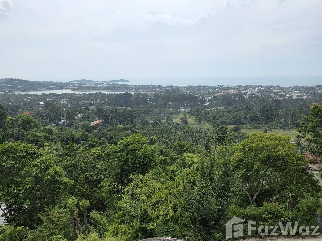 รูป ขาย ที่ดิน ใน บ่อผุด, สุราษฎร์ธานี - รูปที่ 4/9