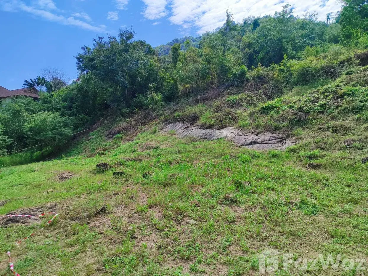 picture Land for sale in Maenam, Surat Thani - 10/10