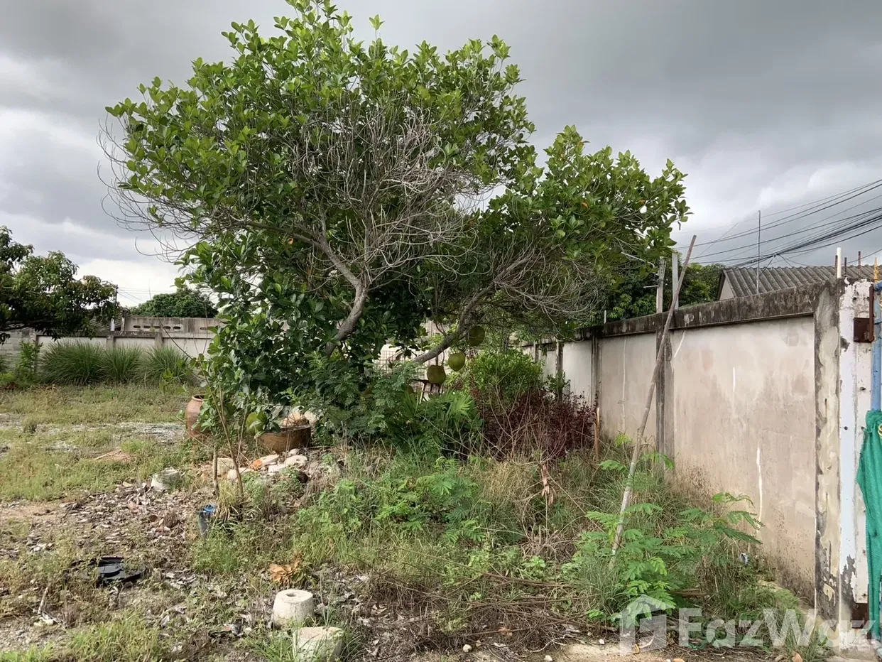 picture Land for sale in Nong Prue, Chon Buri - 9/9