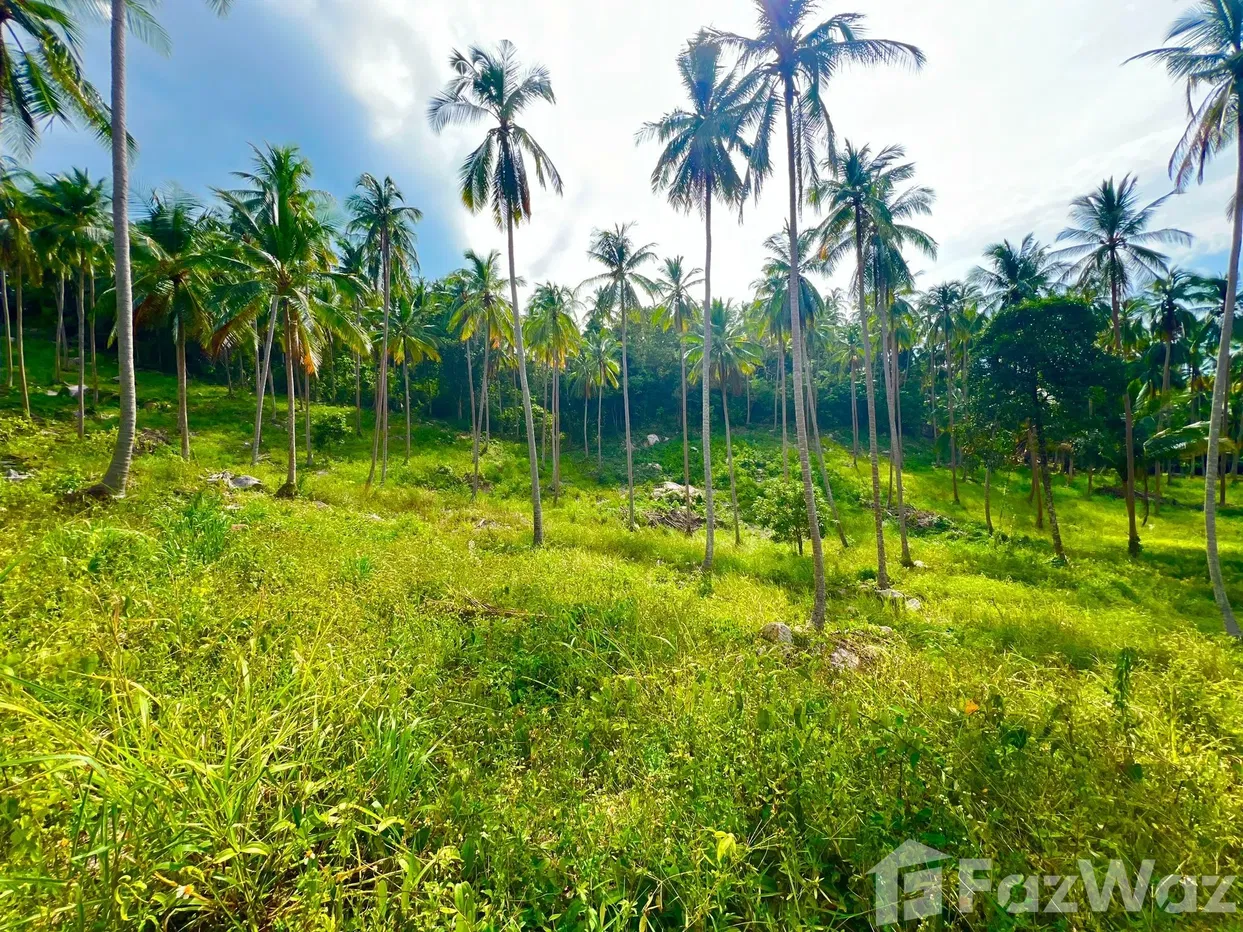picture Land for sale in Taling Ngam, Surat Thani - 18/18