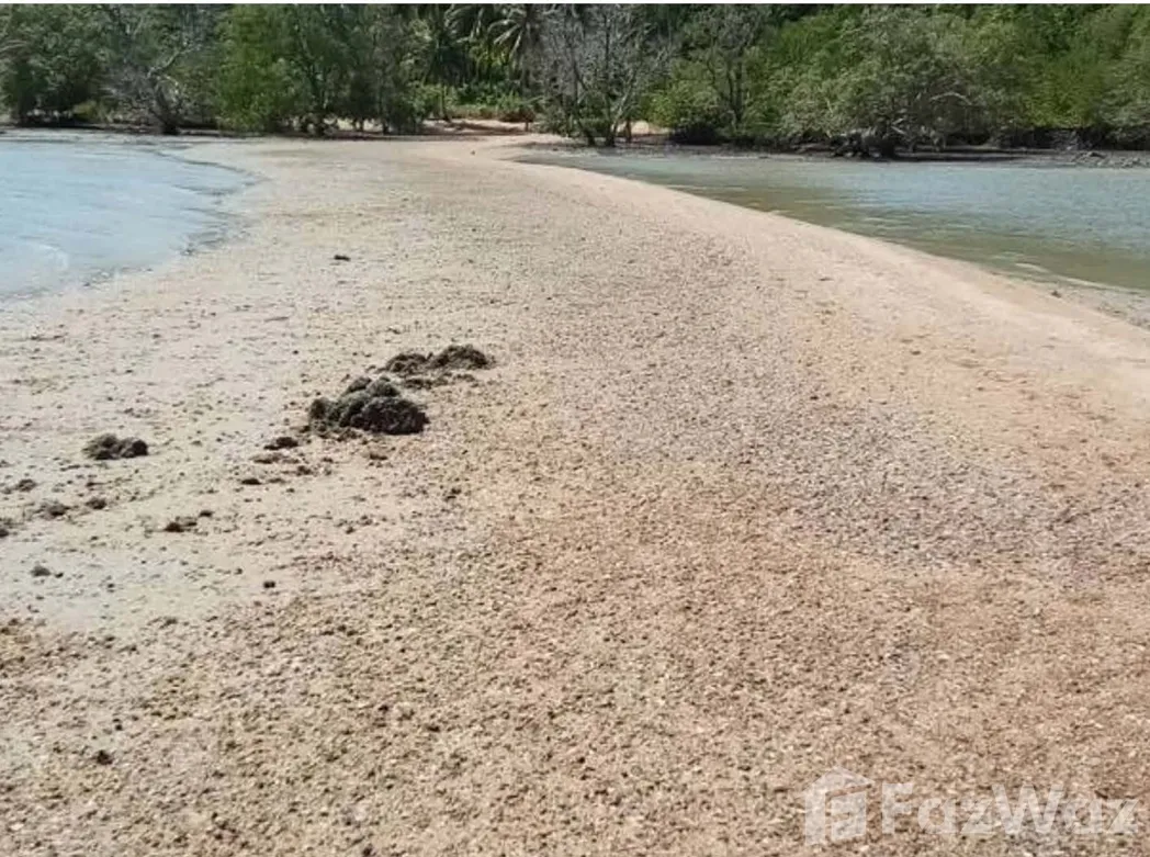 picture Land for sale in Pa Khlok, Phuket - 5/13