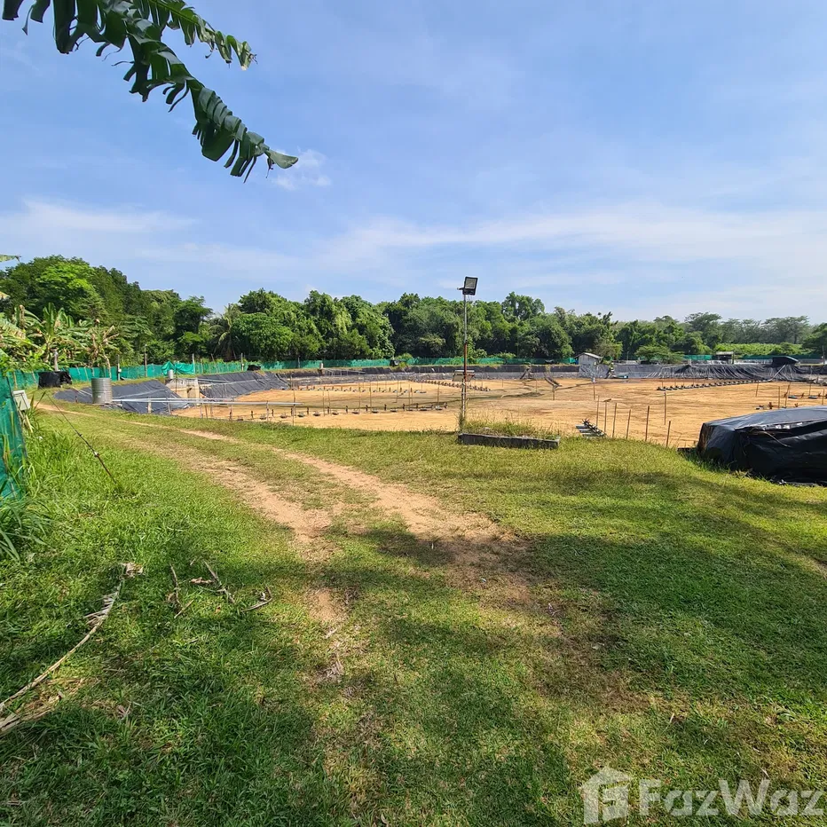 picture Land for sale in Mai Khao, Phuket - 2/6