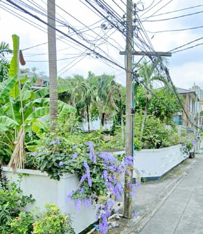 picture Thonglor 13-23 800m.BTS Thonglor 1.4km. Land and house for rent 2-story 4bath 155sq.wa. BTS PhromPho - 6/18