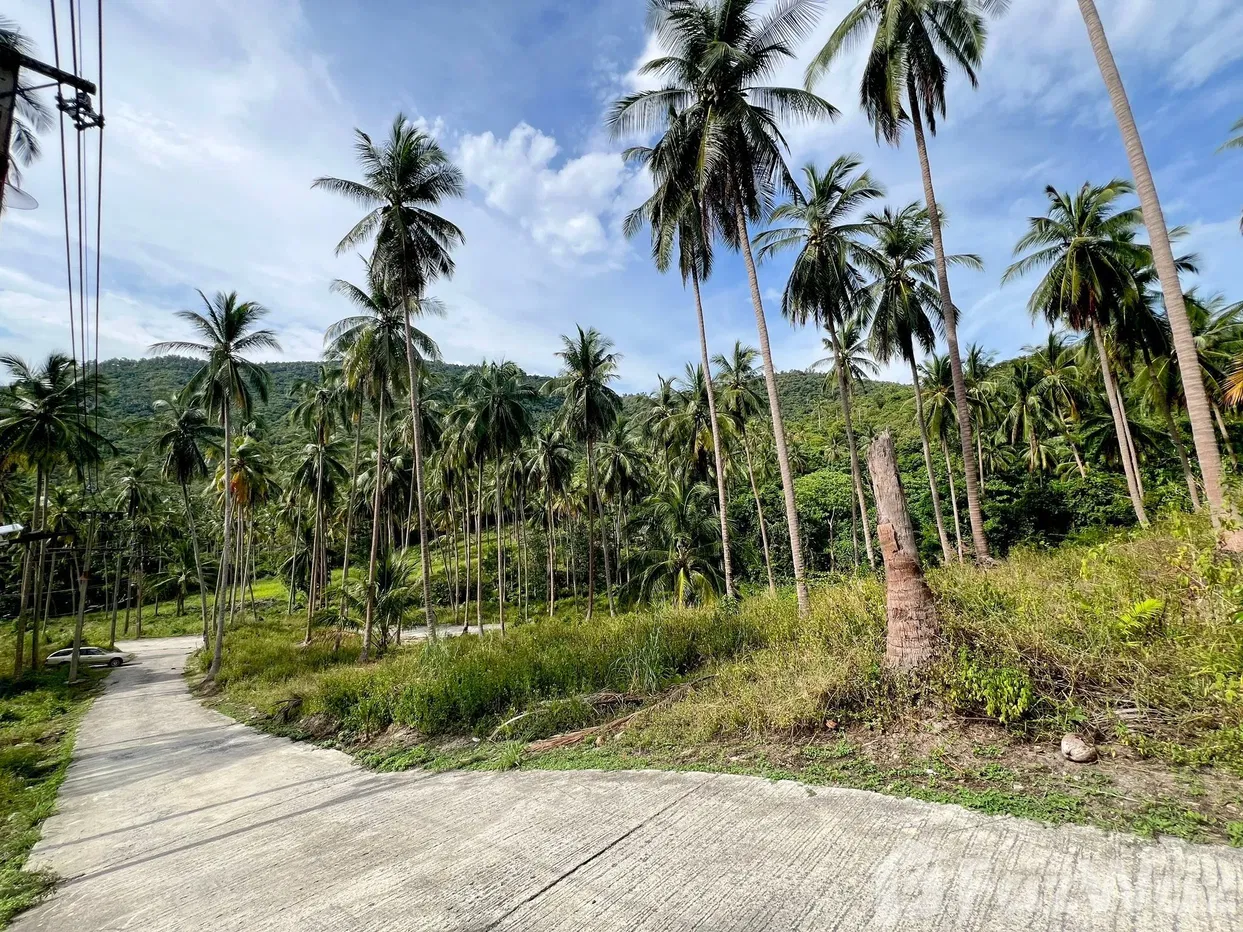 picture Land for sale in Taling Ngam, Surat Thani - 17/18
