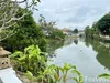 listing thumbnail image 19