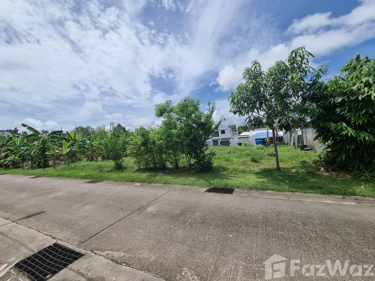 picture Land for sale in Choeng Thale, Phuket - 3/8
