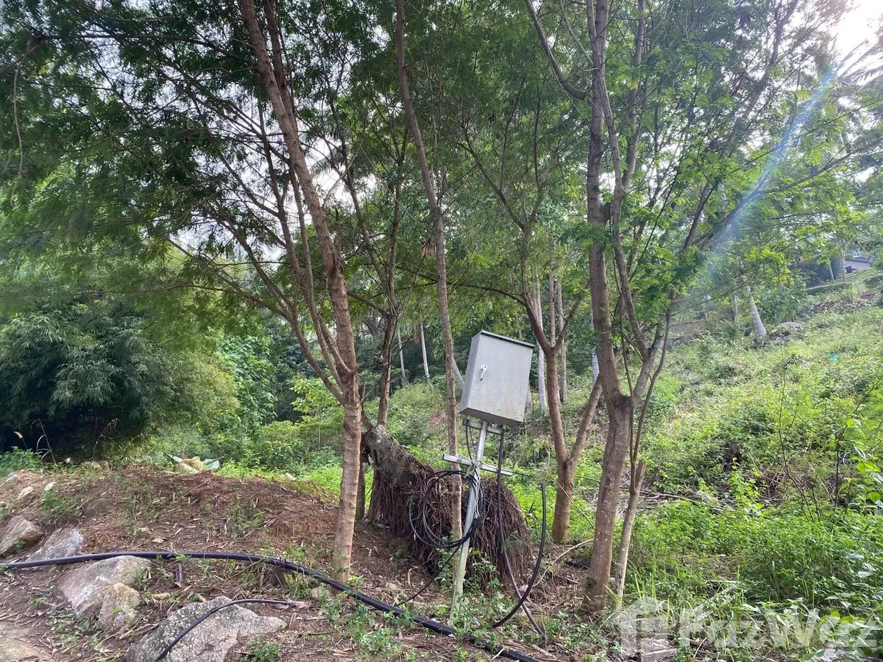 picture Land for sale in Bo Phut, Surat Thani - 9/12