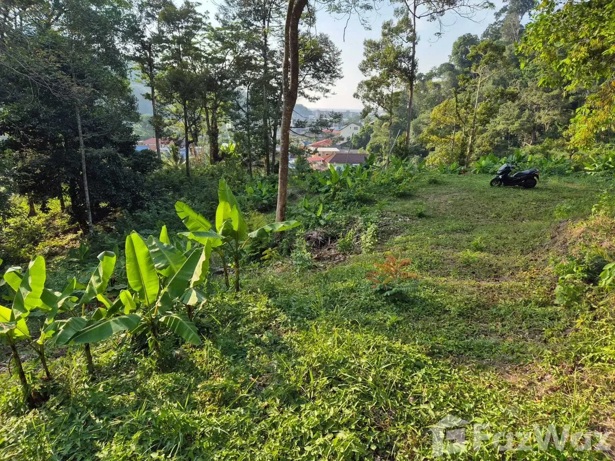 picture Land for sale in Kamala, Phuket - 5/17