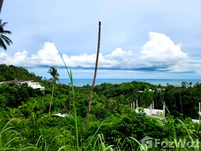 Land for sale Ko Samui Surat Thani : Land for sale in Maret, Surat Thani