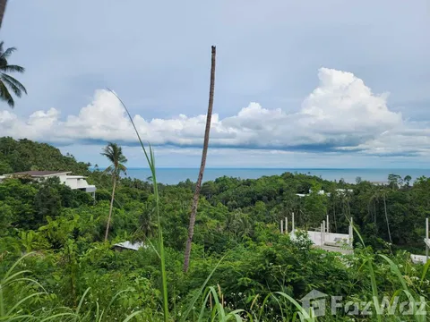 ขาย ที่ดิน ใน มะเร็ต, สุราษฎร์ธานี