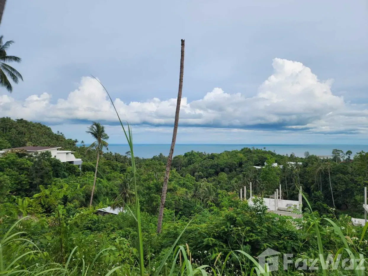 รูป ขาย ที่ดิน ใน มะเร็ต, สุราษฎร์ธานี - รูปที่ 1/9