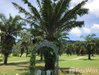 listing thumbnail image 18