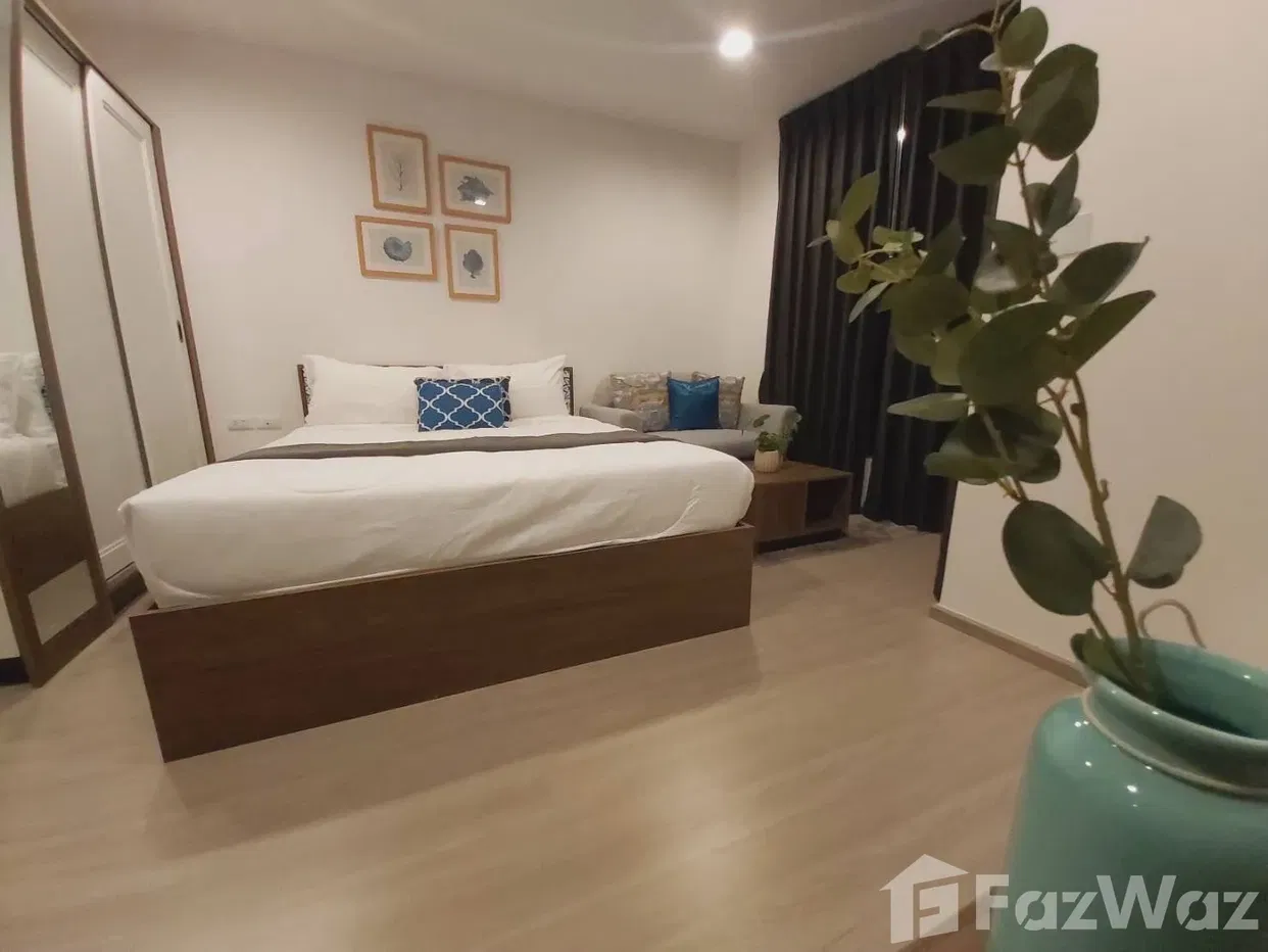 picture The base Central For Rent - 5/7