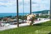 listing thumbnail image 24