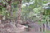 listing thumbnail image 2