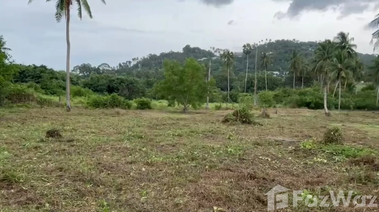 picture Land for sale in Maret, Surat Thani - 4/6
