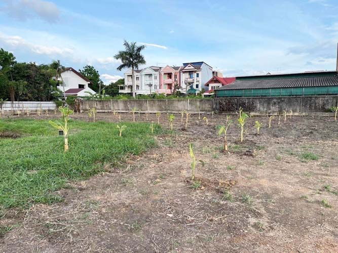 รูป L-144 : ที่ดิน 2-2-71 ไร่ เข้าจาก ถ.กาญจนาภิเษก 180 เมตร ซ.อัศวพิเชษฐ์ 10 (ซ.สวนผัก 45) ตลิ่งชัน - รูปที่ 17/21