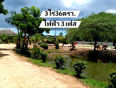 Land for sale Bang Lamung Chonburi : Land for sale in Soi Wat Yan, just 3 km from Jomtien Beach.