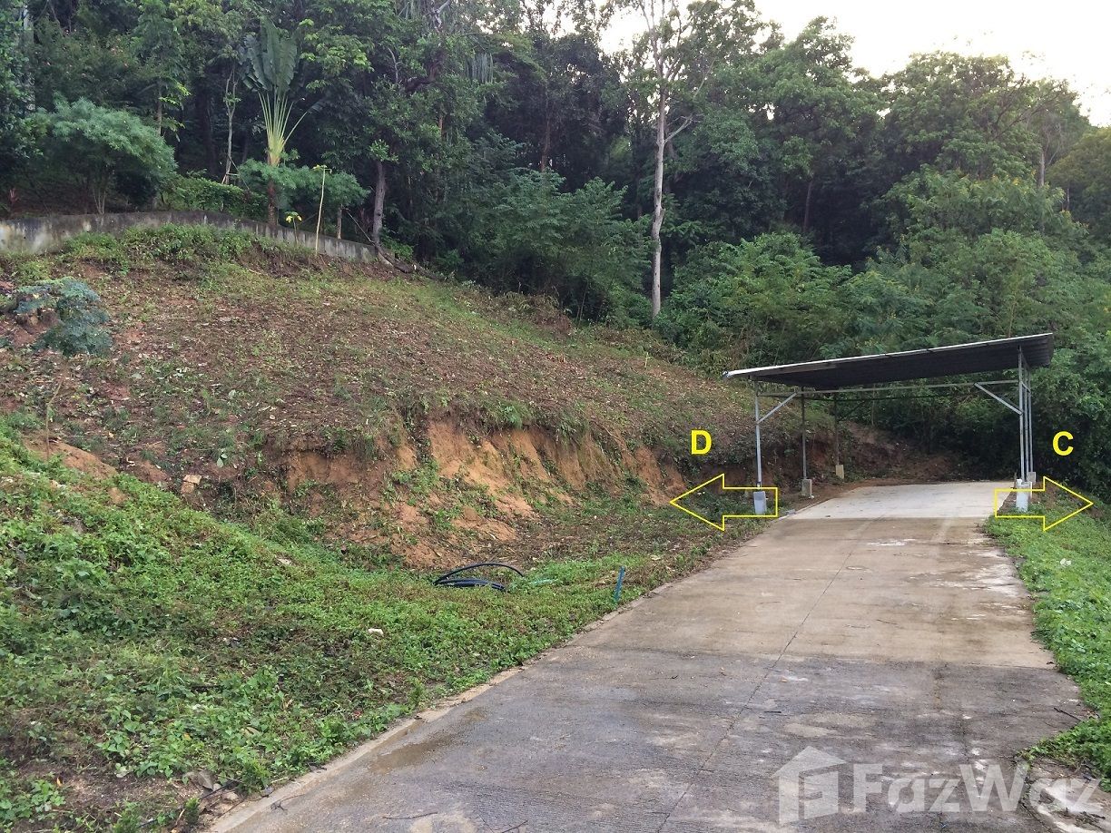 รูป ขาย ที่ดิน ใน แม่น้ำ, สุราษฎร์ธานี - รูปที่ 5/10