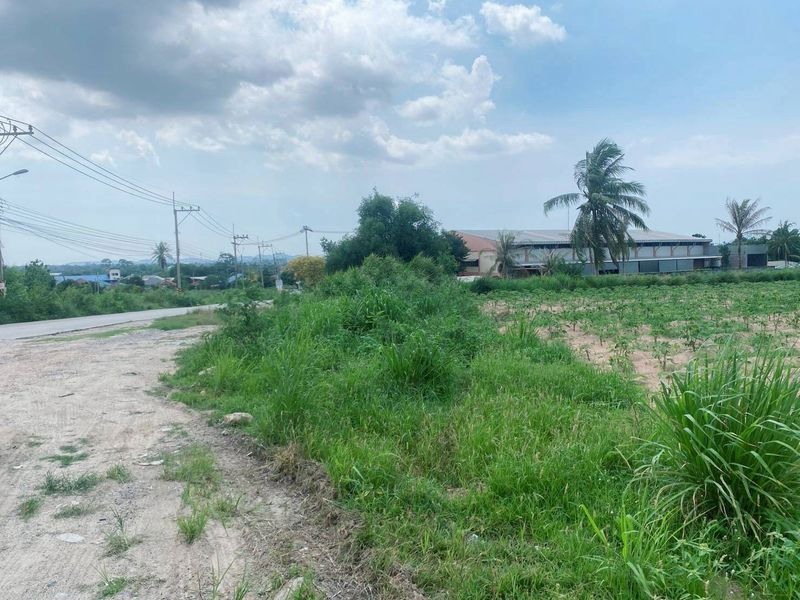 picture Beautiful plot of land for sale, good price, Bueng District, Sriracha, Chonburi - 3/9