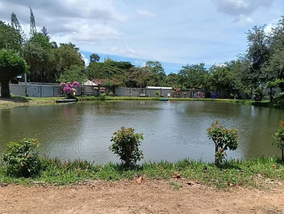 picture Land for sale in Soi Wat Yan, just 3 km from Jomtien Beach. - 4/7