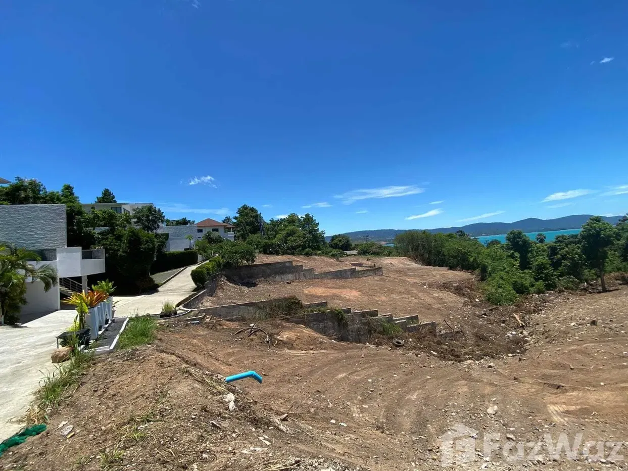 picture Land for sale in Bo Phut, Surat Thani - 10/11