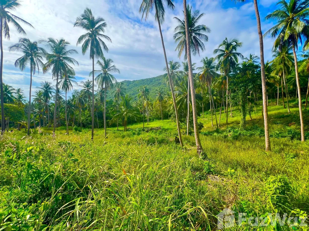 picture Land for sale in Taling Ngam, Surat Thani - 4/6