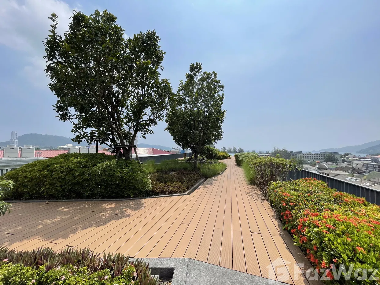 รูป ขาย คอนโด 1 ห้องนอน ในโครงการ เดอะ เดค ป่าตอง - รูปที่ 36/36
