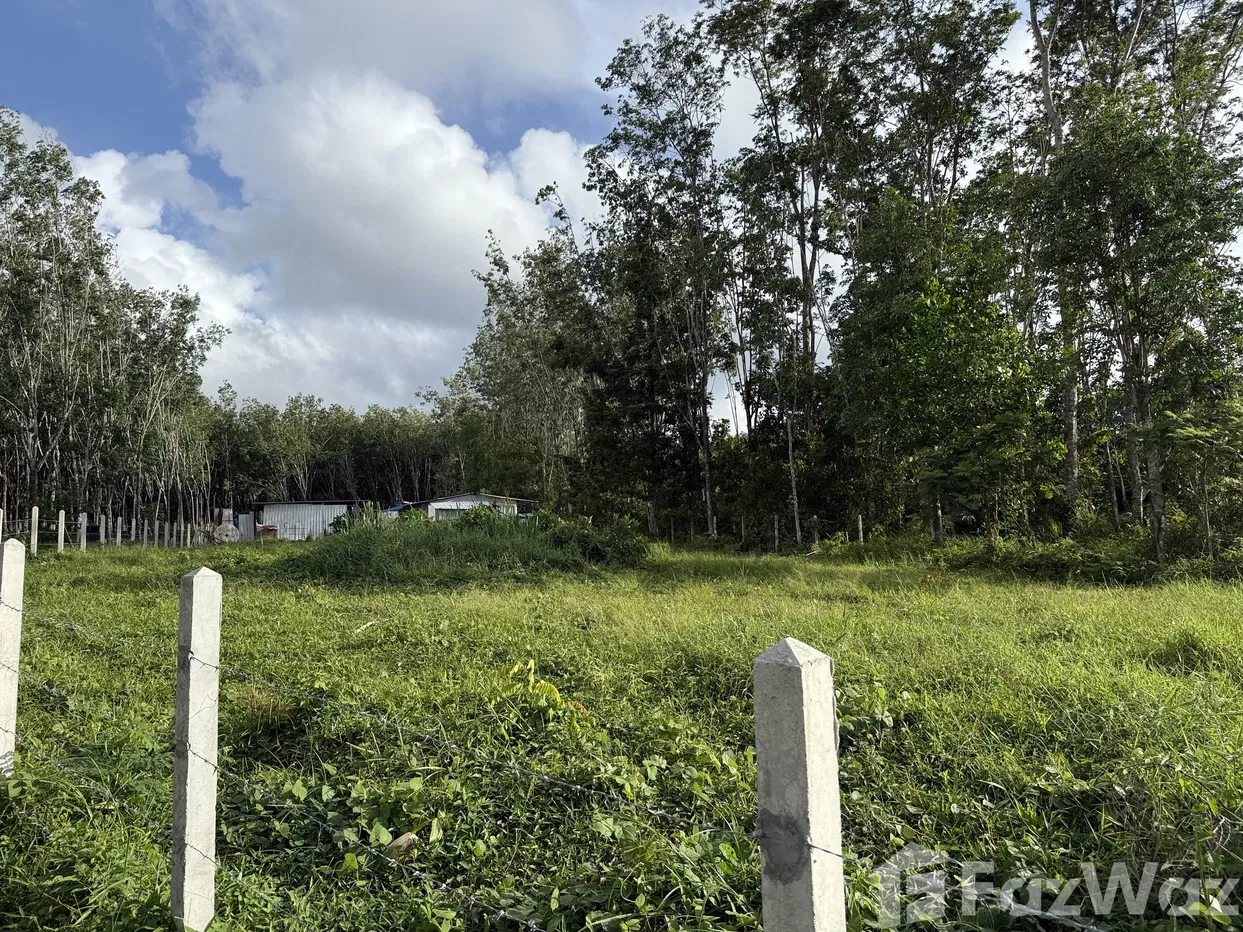 picture Land for sale in Si Sunthon, Phuket - 3/14