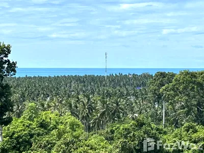 Land for sale Surat Thani : Land for sale in Maret, Surat Thani