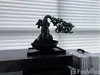 listing thumbnail image 19