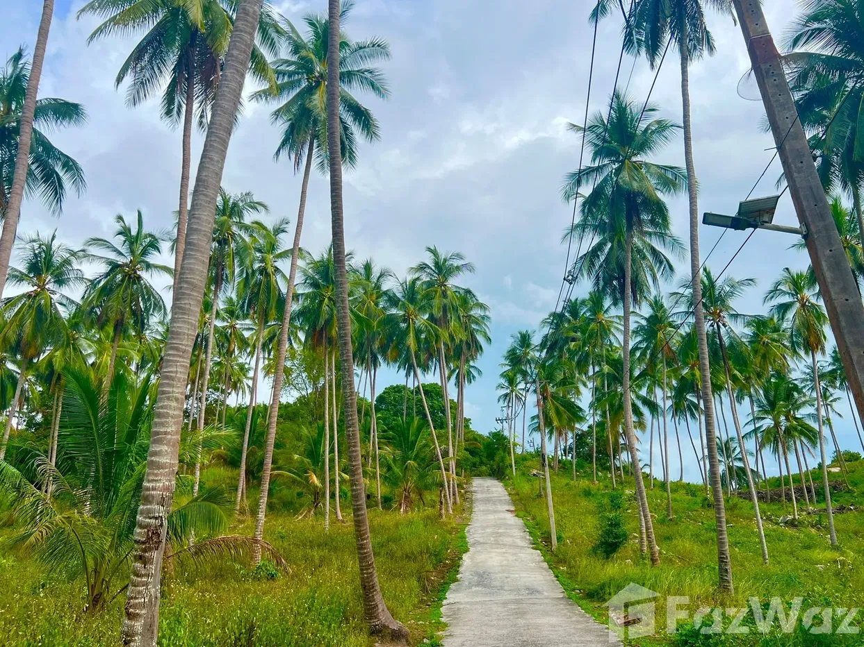 picture Land for sale in Taling Ngam, Surat Thani - 3/18