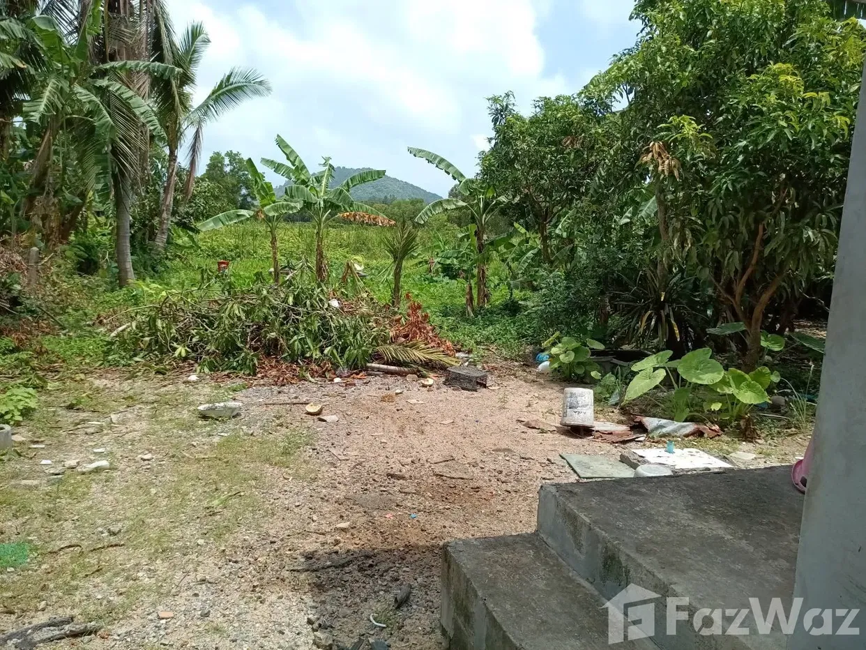 picture Land for sale in Sakhu, Phuket - 2/5