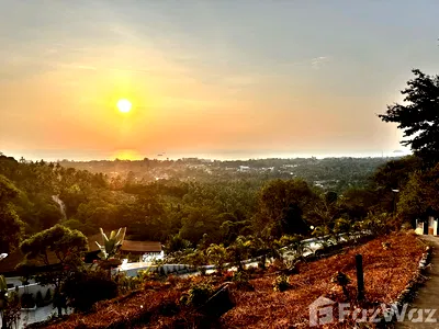 Land for sale Surat Thani : Land for sale in Taling Ngam, Surat Thani