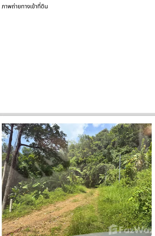 picture Land for sale in Ratsada, Phuket - 6/8